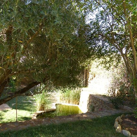 Agadir-Taghazout Magnifique Villa Dar Lina 4 Etoiles Eksteriør billede